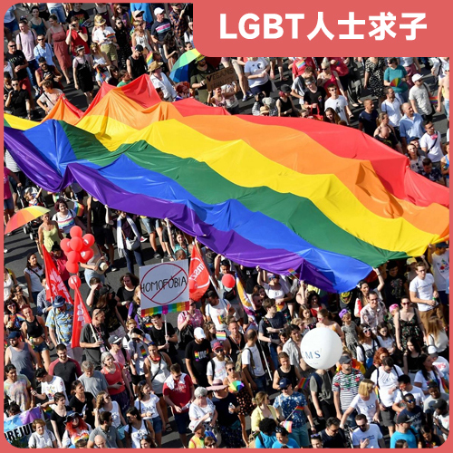 LGBT人士求子